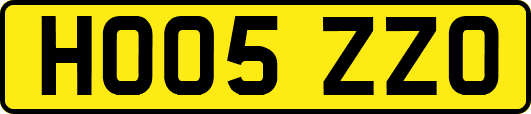 HO05ZZO