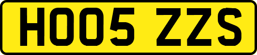 HO05ZZS