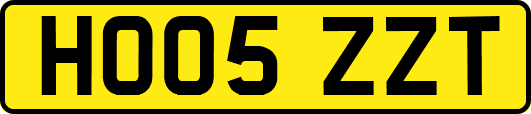 HO05ZZT