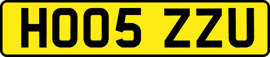 HO05ZZU