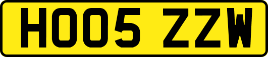 HO05ZZW