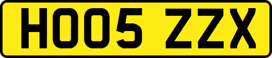 HO05ZZX