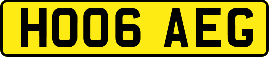 HO06AEG