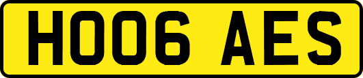HO06AES
