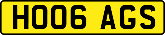 HO06AGS
