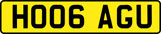 HO06AGU