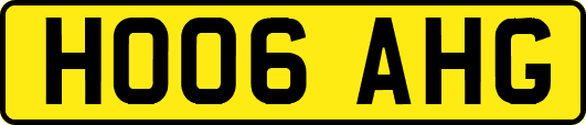 HO06AHG