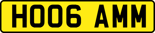 HO06AMM