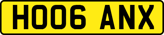 HO06ANX