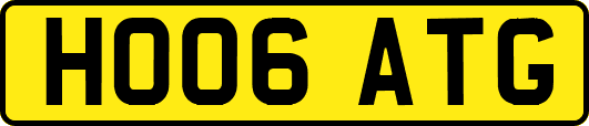 HO06ATG