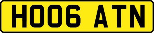 HO06ATN
