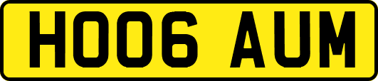 HO06AUM