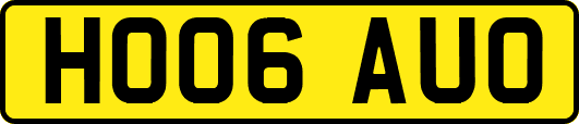 HO06AUO