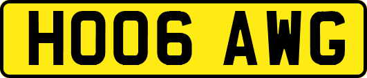 HO06AWG