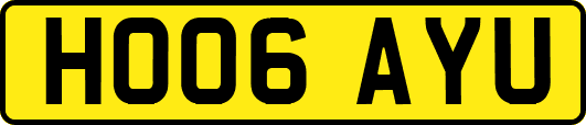 HO06AYU