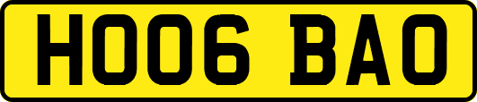 HO06BAO