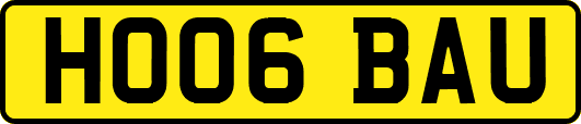 HO06BAU