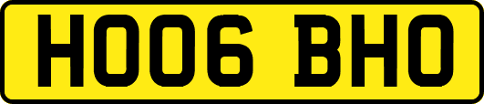 HO06BHO