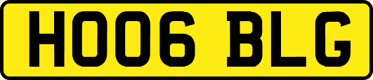 HO06BLG