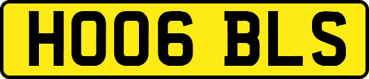HO06BLS
