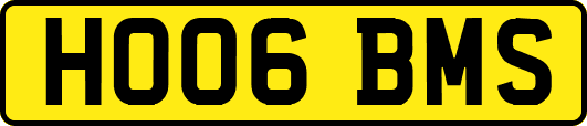 HO06BMS