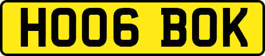 HO06BOK