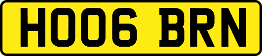 HO06BRN