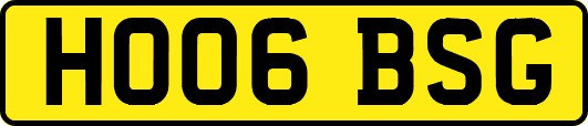 HO06BSG