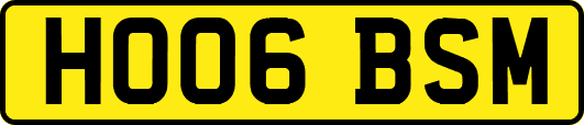 HO06BSM