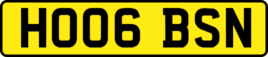 HO06BSN