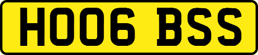 HO06BSS
