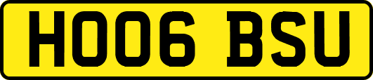 HO06BSU