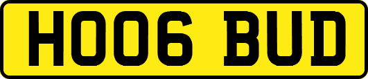 HO06BUD
