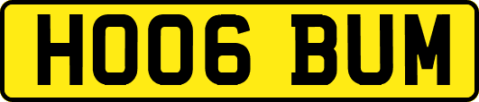 HO06BUM