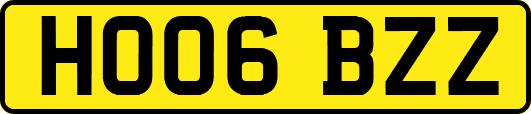 HO06BZZ