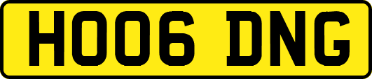 HO06DNG