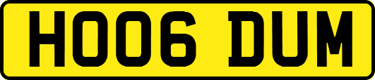 HO06DUM