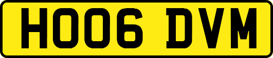 HO06DVM