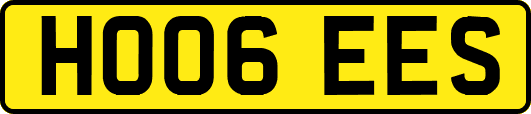HO06EES
