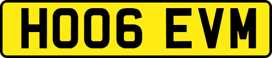 HO06EVM