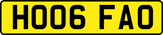 HO06FAO