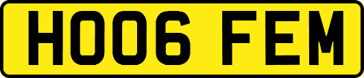 HO06FEM