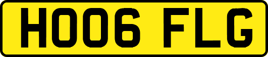 HO06FLG