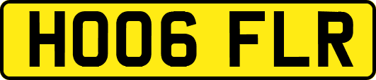 HO06FLR