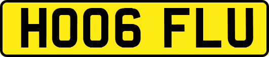 HO06FLU