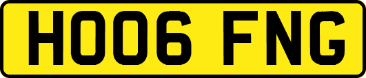 HO06FNG