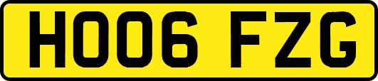 HO06FZG