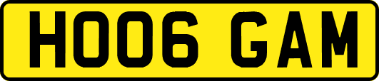 HO06GAM