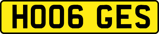 HO06GES
