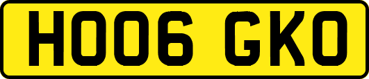 HO06GKO
